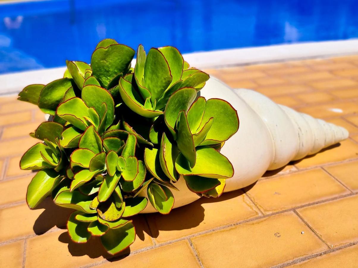 Flh Vilamoura Summer Flat With Pool Ngoại thất bức ảnh